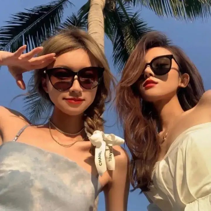 流浪狗阿甘