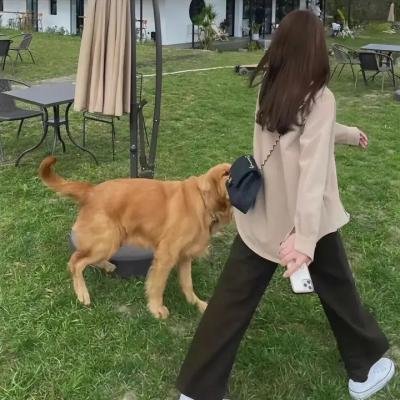 金银花开